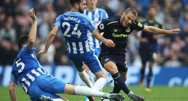 Prediksi Everton Vs Brighton Albion 03 November 2018
